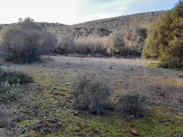 Terreno à venda em Loulé