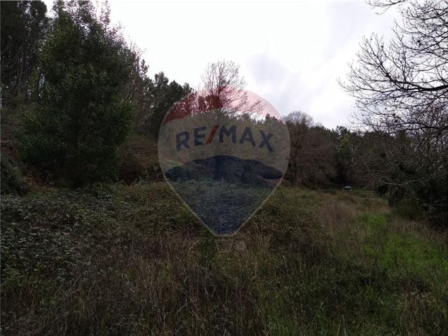 Terreno à venda em Lousã