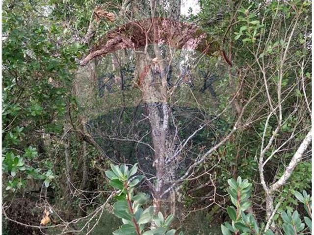 Terreno à venda em Lousã