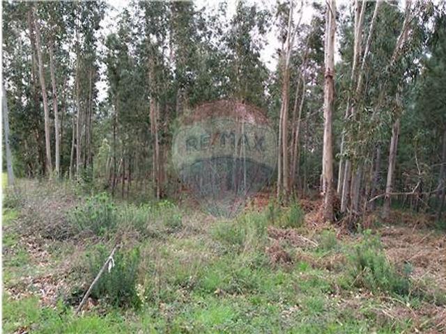 Terreno à venda em Lousã e Vilarinho, Lousã RE/MAX Portugal