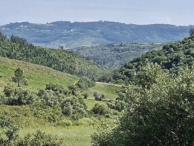 Terreno à venda em Lousa, Loures RE/MAX Portugal