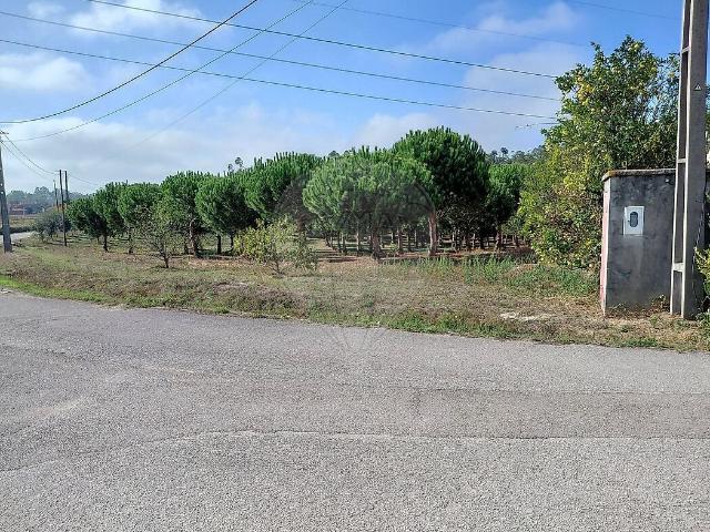 Terreno à venda em Louriçal, Pombal RE/MAX Portugal