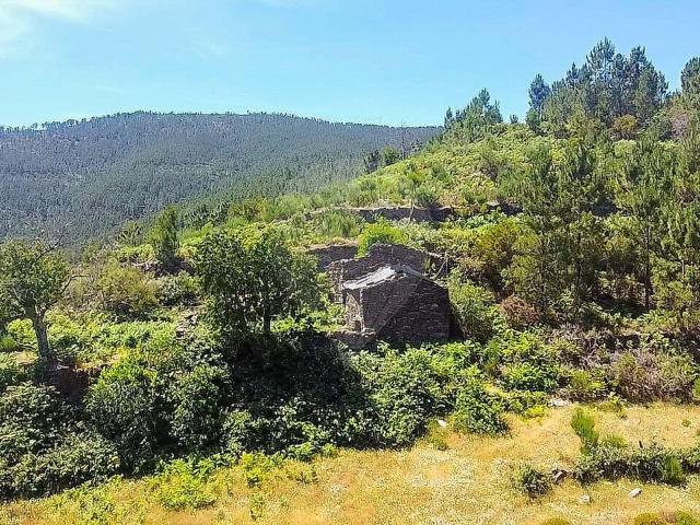Terreno à venda em Loriga, Seia RE/MAX Portugal