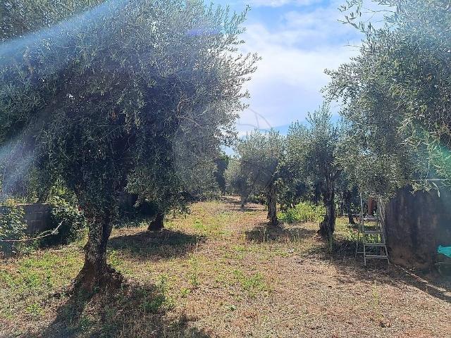 Terreno à venda em Lavacolhos, Fundão RE/MAX Portugal