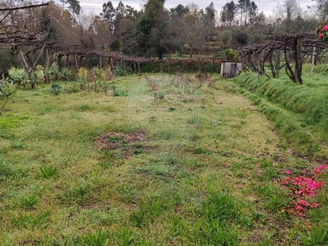 Terreno à venda em Lavradas, Ponte da Barca RE/MAX Portugal