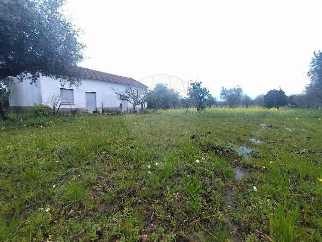 Terreno à venda em Ladoeiro, Idanha a Nova RE/MAX Portugal