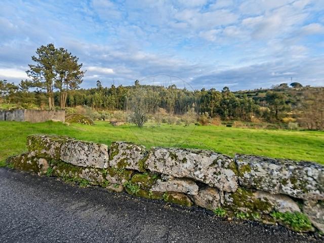Terreno à venda em Lagos da Beira e Lajeosa, Oliveira do Hospital RE/MAX Portugal