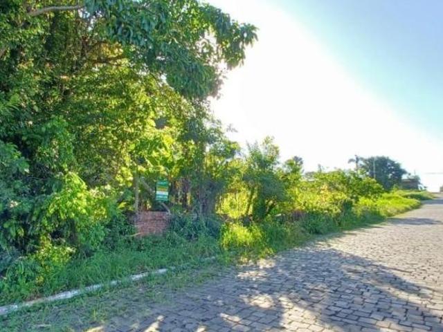 Terreno à venda em Lajeado