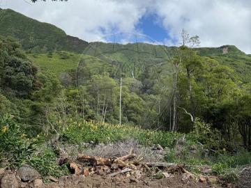 Terreno à venda em Lajes das Flores
