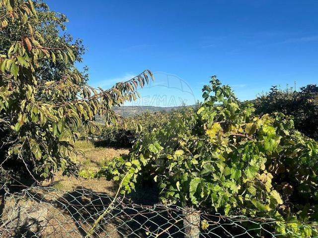 Terreno à venda em Lamego Almacave e Sé, Lamego RE/MAX Portugal
