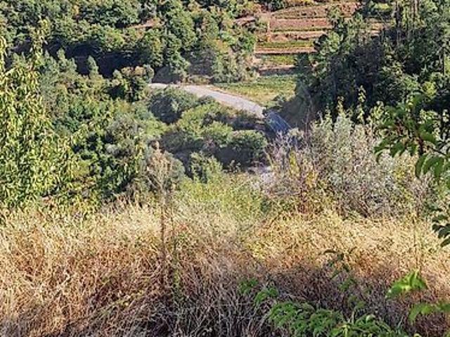 Terreno à venda em Lamego