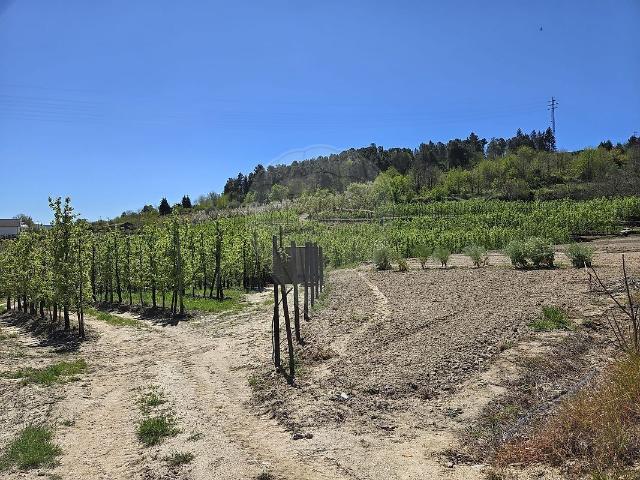 Terreno à venda em Lamego