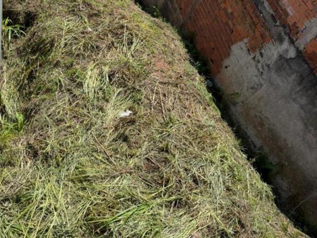 TERRENO À VENDA EM LARANJEIRAS EM CAIEIRAS