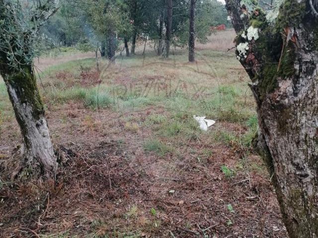 Terreno à venda em Leiria
