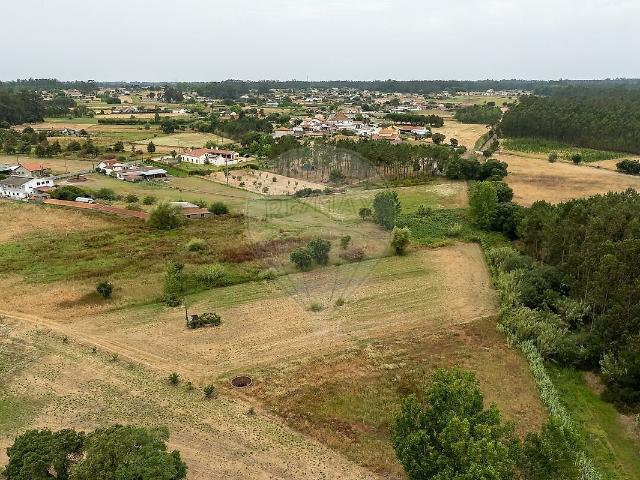 Terreno à venda em Liceia, Montemor o Velho RE/MAX Portugal
