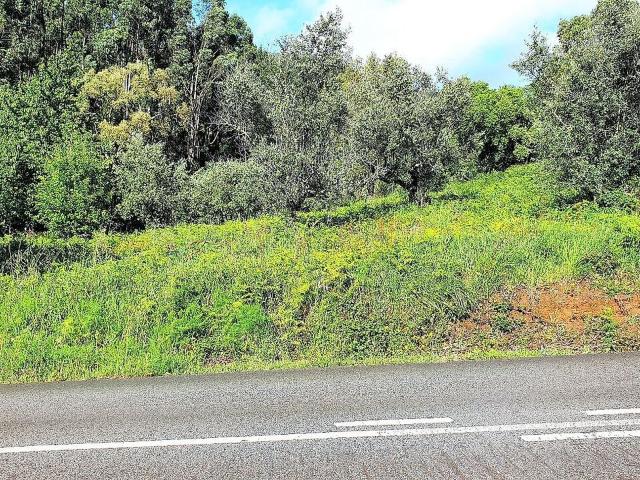 Terreno à venda em Luso, Mealhada RE/MAX Portugal