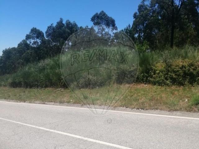 Terreno à venda em Lustosa e Barrosas Santo Estêvão, Lousada RE/MAX Portugal