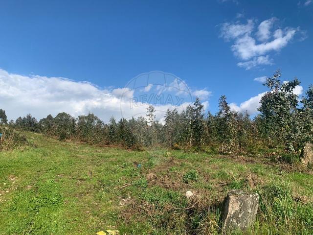 Terreno à venda em Lustosa e Barrosas Santo Estêvão, Lousada RE/MAX Portugal