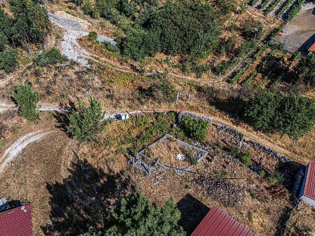 Terreno à venda em Mões, Castro Daire RE/MAX Portugal