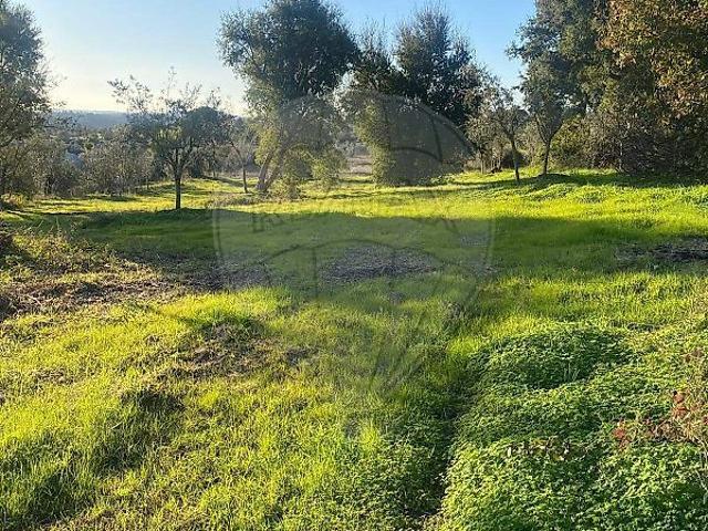 Terreno à venda em Mouriscas, Abrantes RE/MAX Portugal