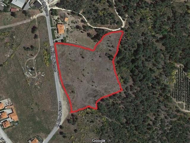 Terreno à venda em Moimenta da Beira, Moimenta da Beira RE/MAX Portugal