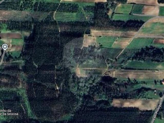Terreno à venda em Moita dos Ferreiros, Lourinhã RE/MAX Portugal