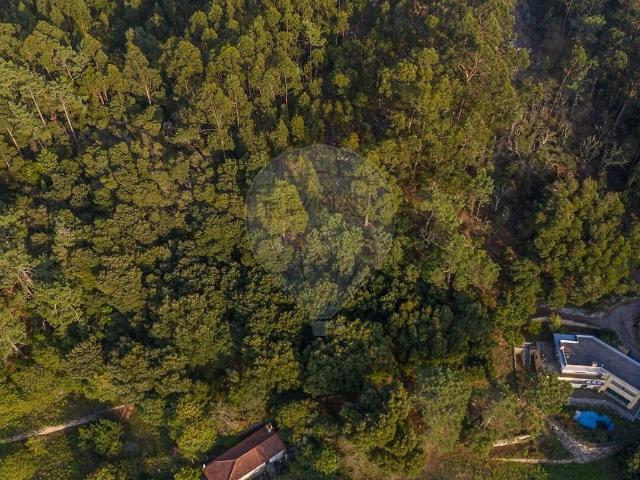Terreno à venda em Moledo e Cristelo, Caminha RE/MAX Portugal