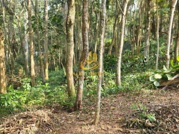 Terreno à venda em Mombaça