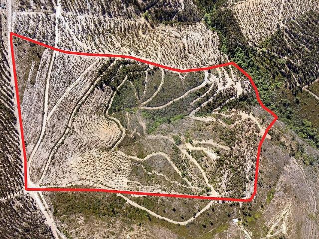 Terreno à venda em Monchique, Monchique RE/MAX Portugal