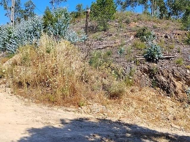 Terreno à venda em Monchique, Monchique RE/MAX Portugal