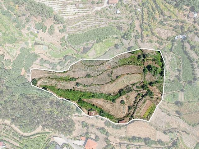 Terreno à venda em Mondim de Basto, Mondim de Basto RE/MAX Portugal