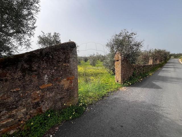 Terreno à venda em Monforte da Beira, Castelo Branco RE/MAX Portugal
