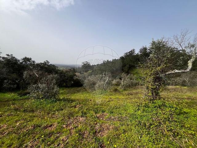 Terreno à venda em Monforte da Beira, Castelo Branco RE/MAX Portugal