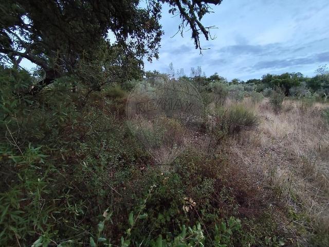 Terreno à venda em Monforte da Beira, Castelo Branco RE/MAX Portugal