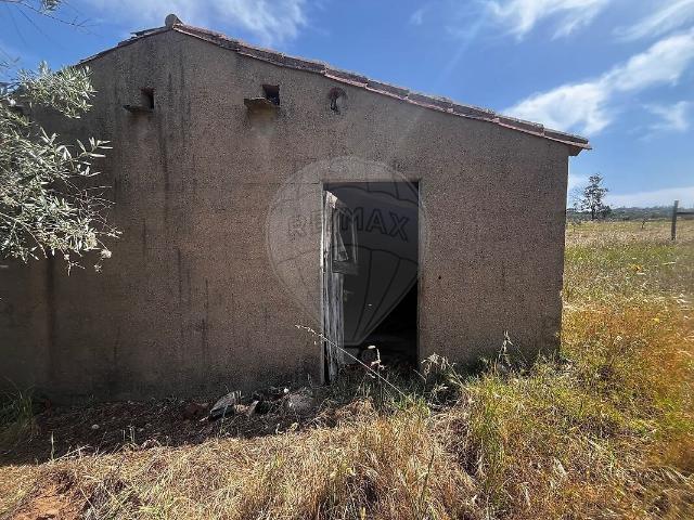 Terreno à venda em Monforte da Beira, Castelo Branco RE/MAX Portugal