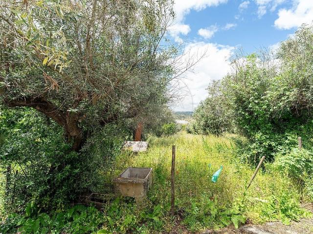Terreno à venda em Monforte, Monforte RE/MAX Portugal