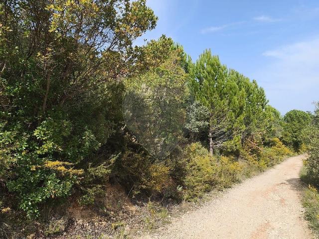 Terreno à venda em Monsanto, Alcanena RE/MAX Portugal