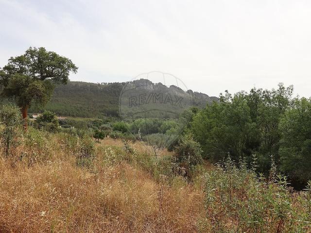 Terreno à venda em Monsanto e Idanha a Velha, Idanha a Nova RE/MAX Portugal