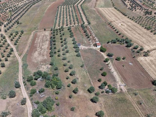 Terreno à venda em Monsaraz, Reguengos de Monsaraz RE/MAX Portugal