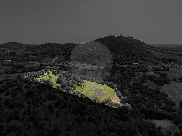Terreno à venda em Monsaraz, Reguengos de Monsaraz RE/MAX Portugal