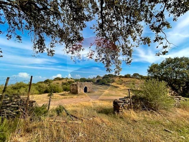Terreno à venda em Monsaraz, Reguengos de Monsaraz RE/MAX Portugal