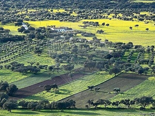 Terreno à venda em Monsaraz, Reguengos de Monsaraz RE/MAX Portugal
