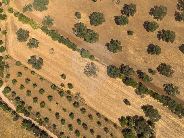 Terreno à venda em Monsaraz, Reguengos de Monsaraz RE/MAX Portugal
