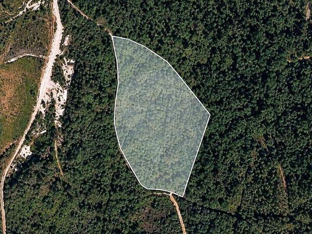 Terreno à venda em Montalegre e Padroso, Montalegre RE/MAX Portugal
