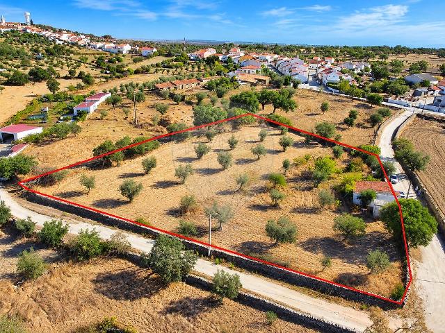Terreno à venda em Montalvão, Nisa RE/MAX Portugal