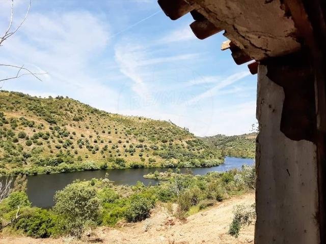 Terreno à venda em Montalvão, Nisa RE/MAX Portugal