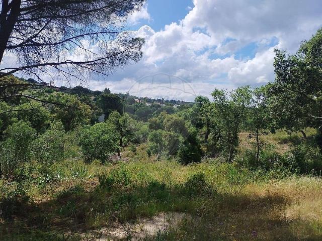 Terreno à venda em Montargil, Ponte de Sor RE/MAX Portugal