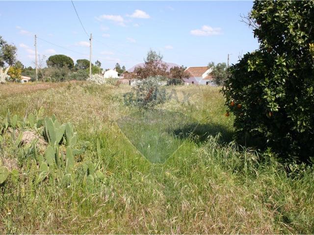 Terreno à venda em Montargil, Ponte de Sor RE/MAX Portugal