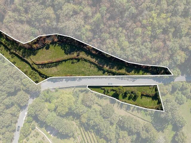 Terreno à venda em Monte e Queimadela, Fafe RE/MAX Portugal