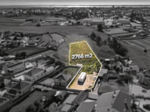 Terreno à venda em Monte, Murtosa RE/MAX Portugal